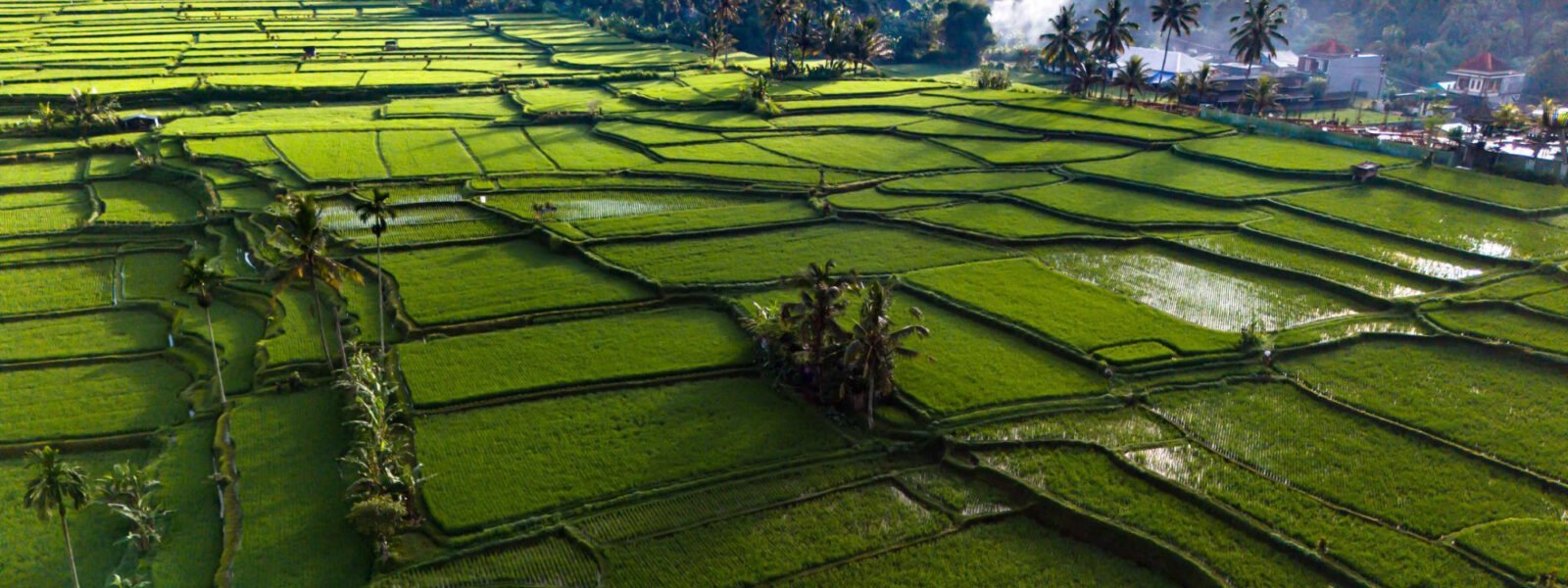 Payangan