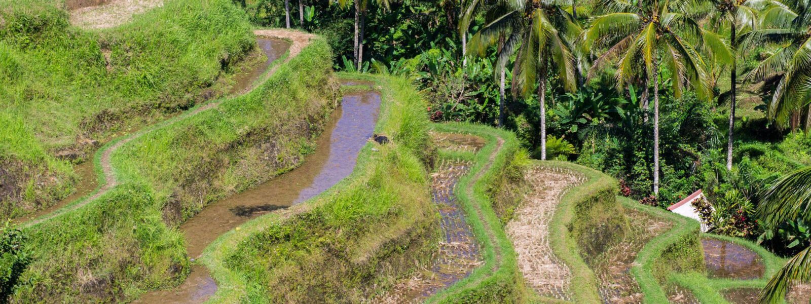 Ubud
